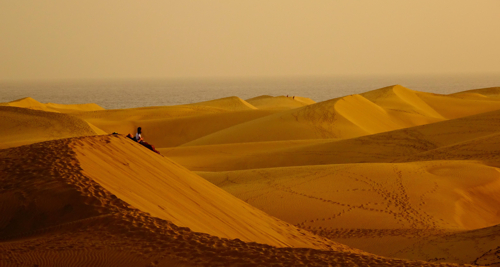 desert